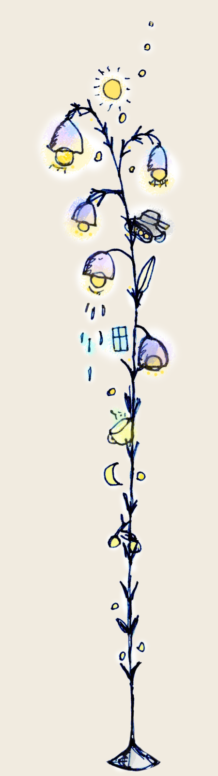 作品一覧
